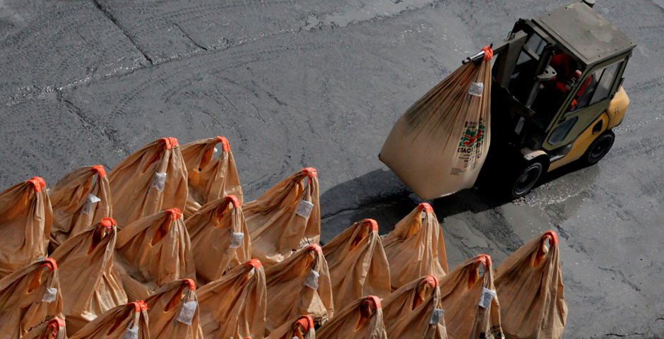 Фото: Виталий Аньков/РИА Новости