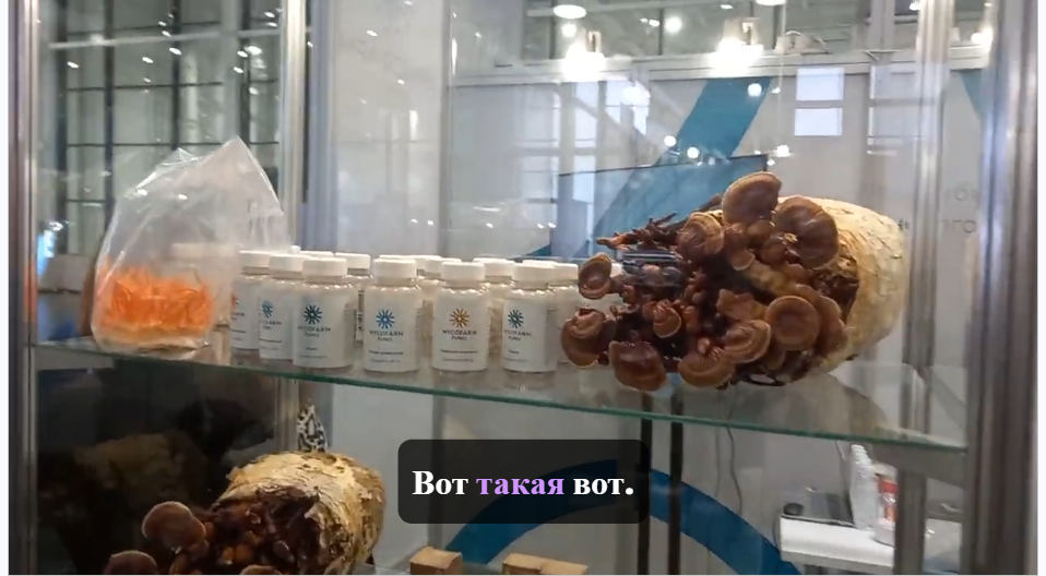 Кадр про БАД из грибов 