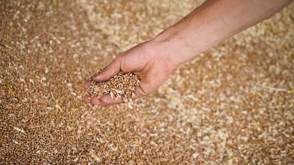    © Sputnik / Виталий Тимкив