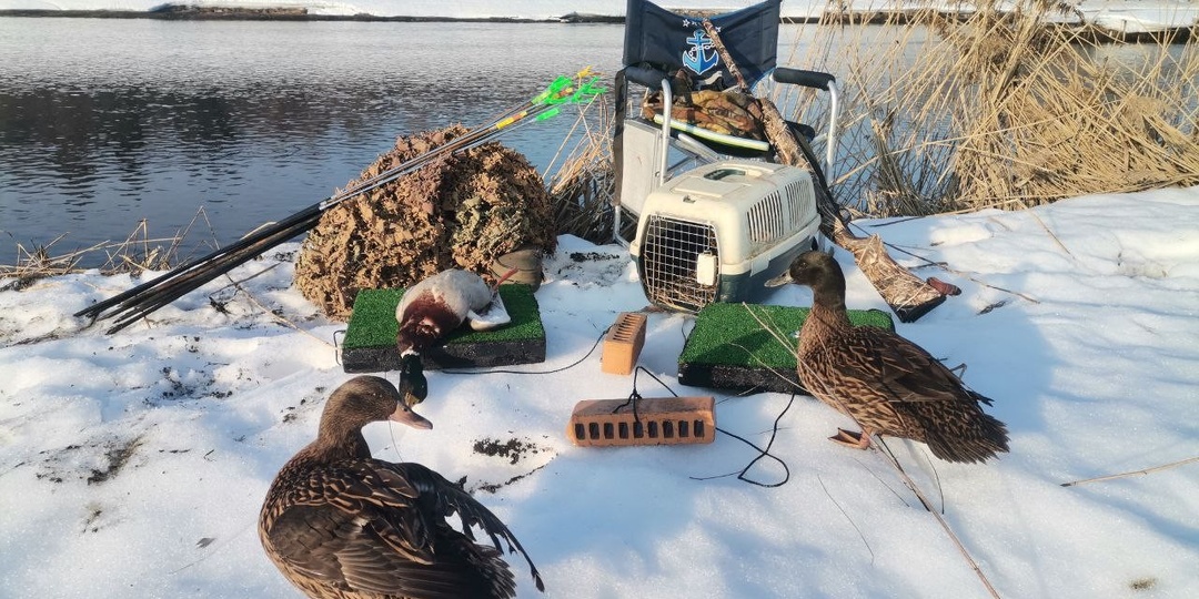 С подсадной в начале сезона