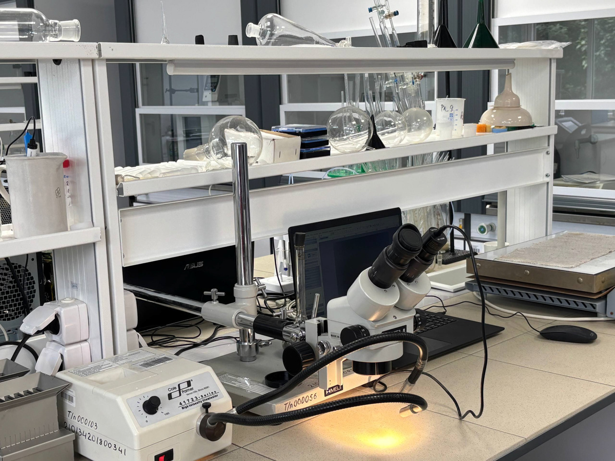 Ранее финансирование из казны региона получали три ключевых вуза.  Фото: ФедералПресс / Ирина Ромашкина