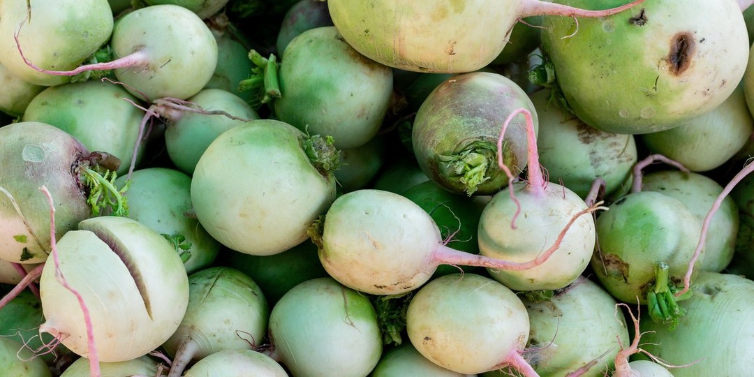 Чем полезна редька: как ее лучше приготовить и почему хороша для похудения