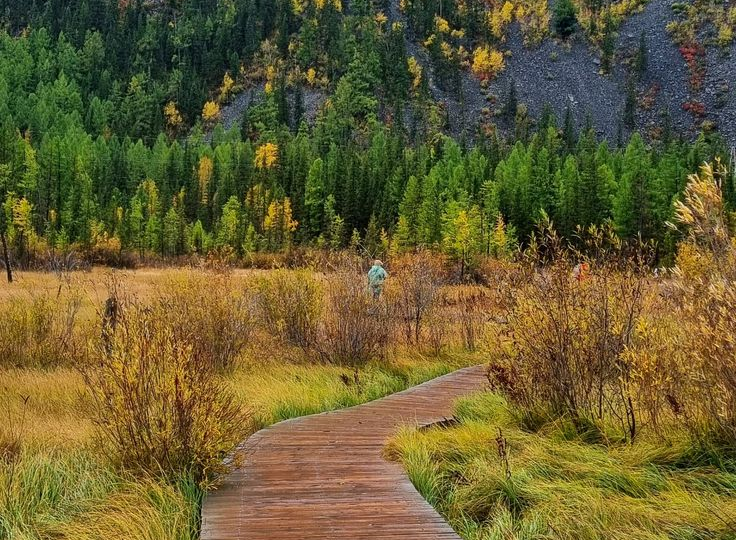 Какая температура на Алтае в сентябре?