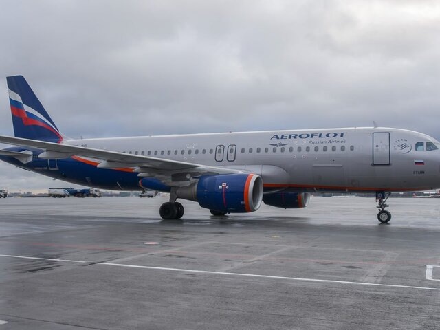    Фото: Москва 24/Антон Великжанин