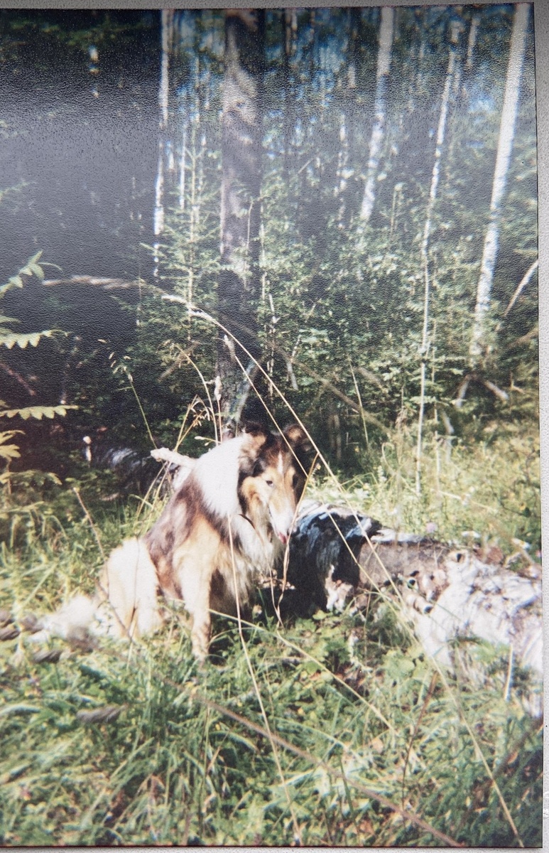 Все фото из личного архива.