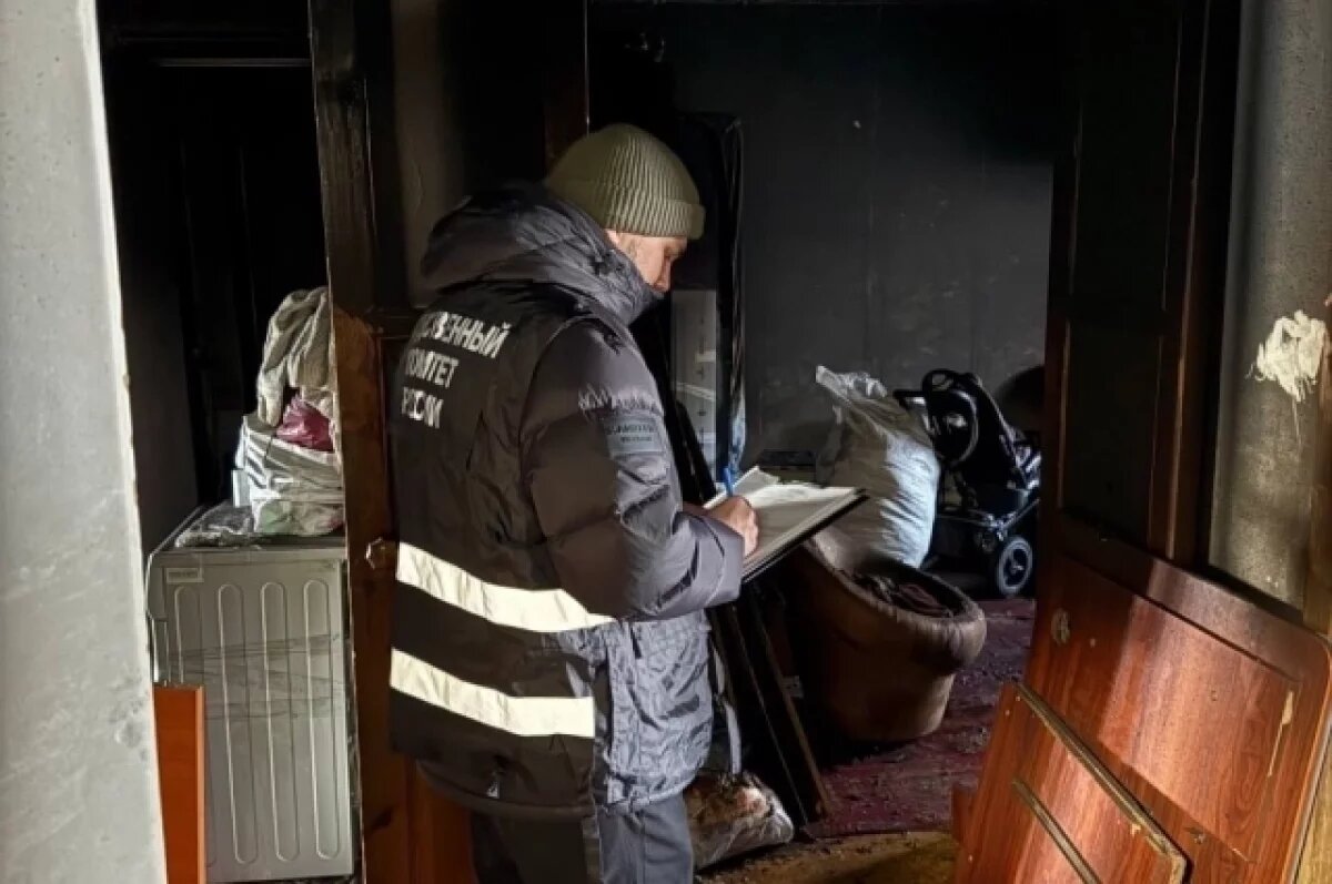    Причиной пожара в Омске, где погибли бабушка и внук, могла стать сигарета