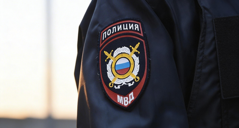    Нашивка на рукаве сотрудника полиции | © РИА Новости / Владимир Астапкович