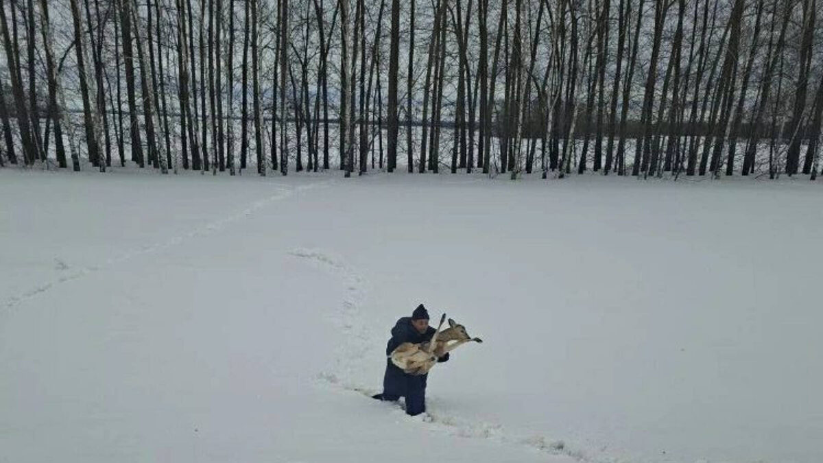 Фото: Госкомитет РТ по биоресурсам