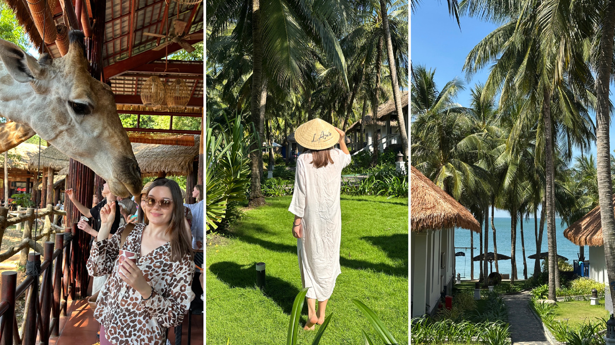 Остров Фукуок. Кафе с жирафами в парке Vinpearl Safari. Территория отеля L'Azure Resort and Spa.