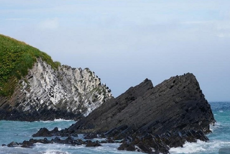    Уральские активисты могут попасть в заезды на остров Шумшу. Фото: Департамент информполитики Свердловской области