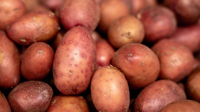    Фото: Сергей Зубков/«Ямал-Медиа»