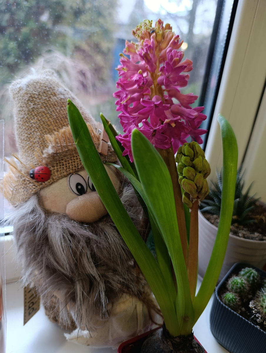 Даже у нашего домовичка весеннее настроение🌸