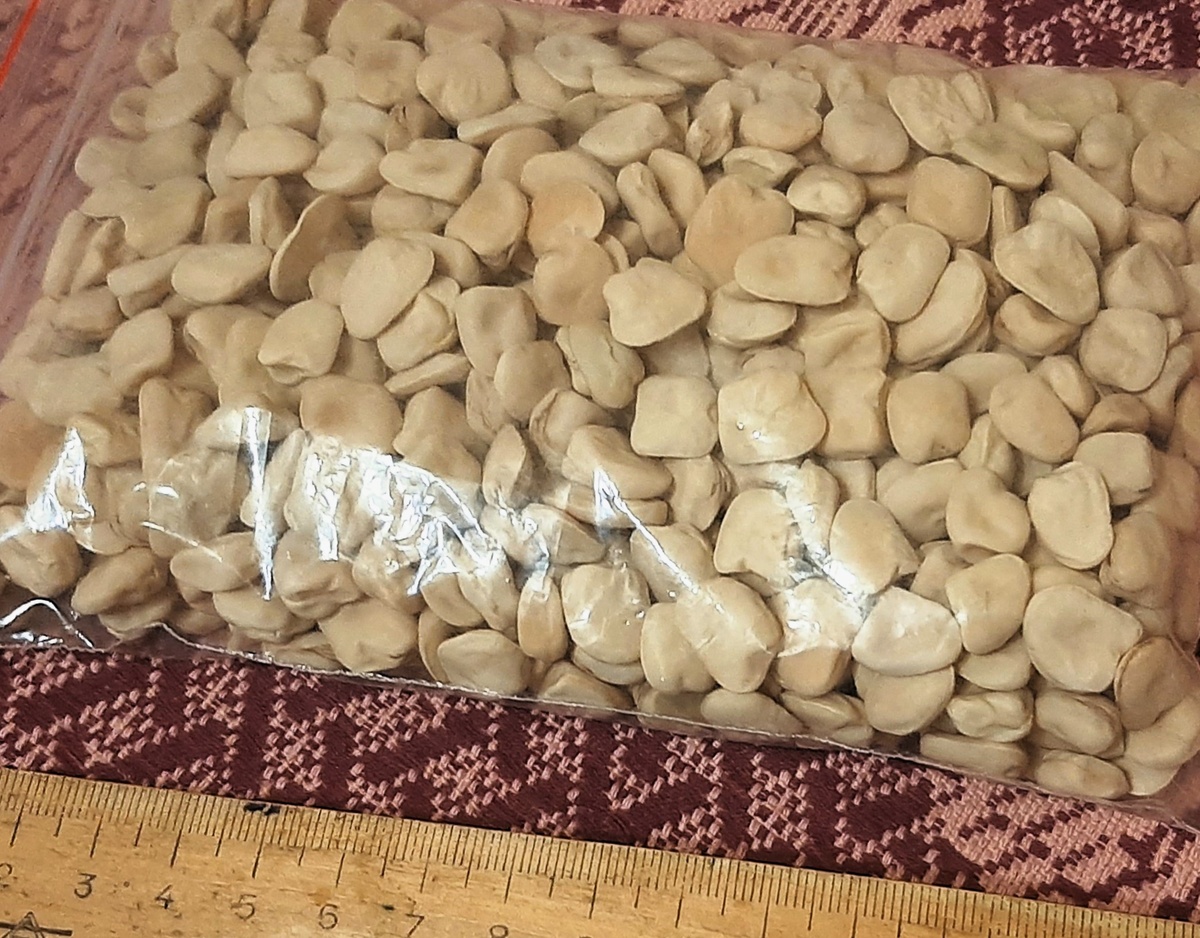 Получила заказ