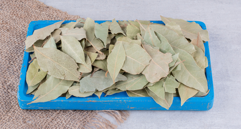    Изображение от azerbaijan_stockers на Freepik