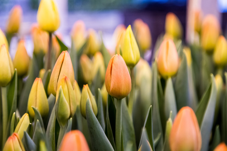    Фото Андрея Заржецкого