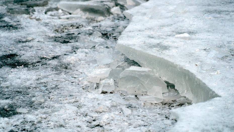    Автор фото: Andrea Izzotti/Shutterstock/FOTODOM