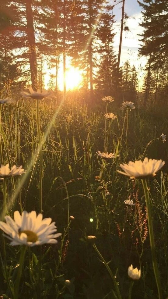 #ревность #зависть #студенты #слезы #любовь #романтика