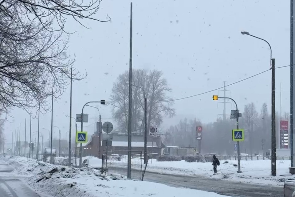    Новые фонари установят на улице в Калининском районе. Фото: t.me/keio_spb