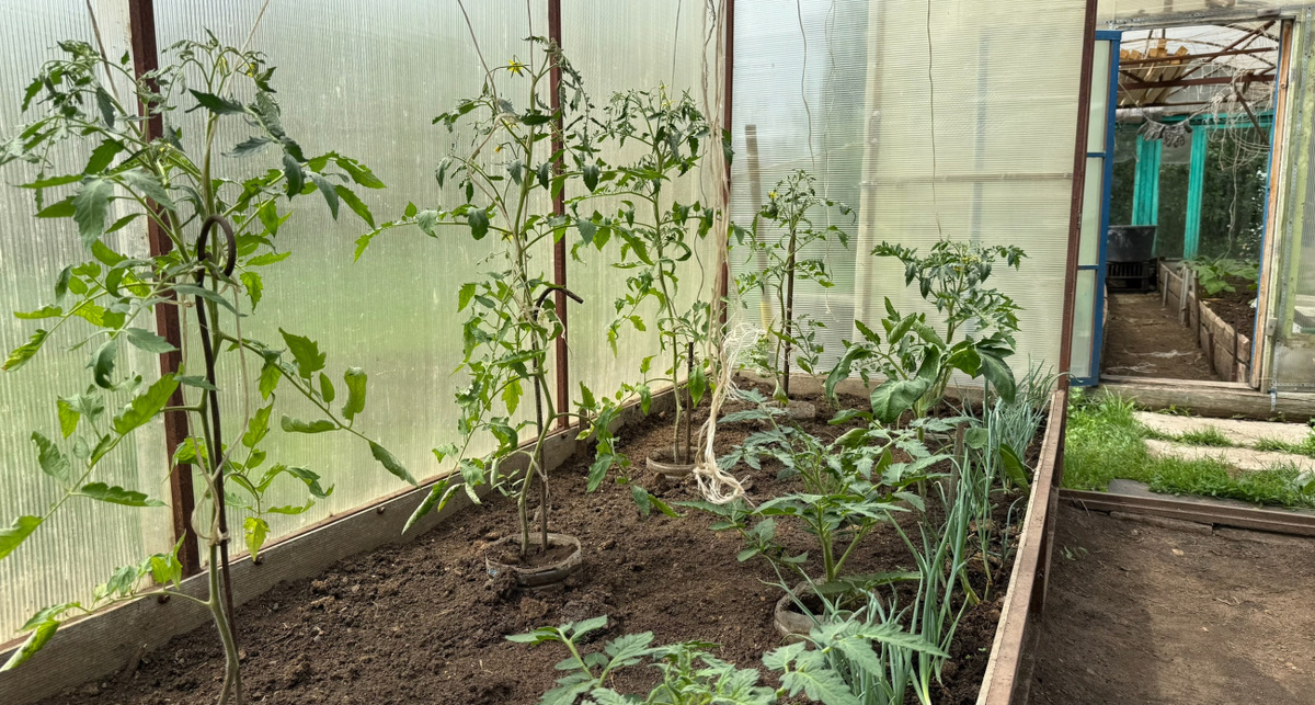    Фото: ПроГород