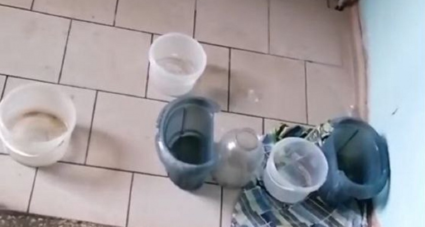    Скрин видео от "Народного фронта"