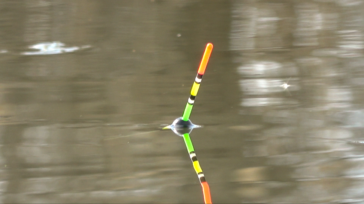 Первая поклевка