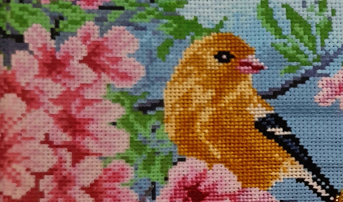 Фото автора канала