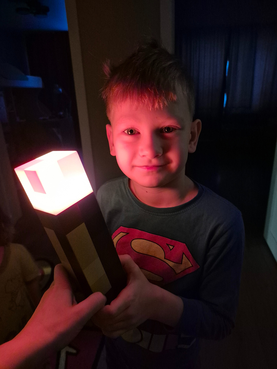 Сегодня у нас праздник в стиле майнкрафт - одной из любимых игр детей нашего возраста 