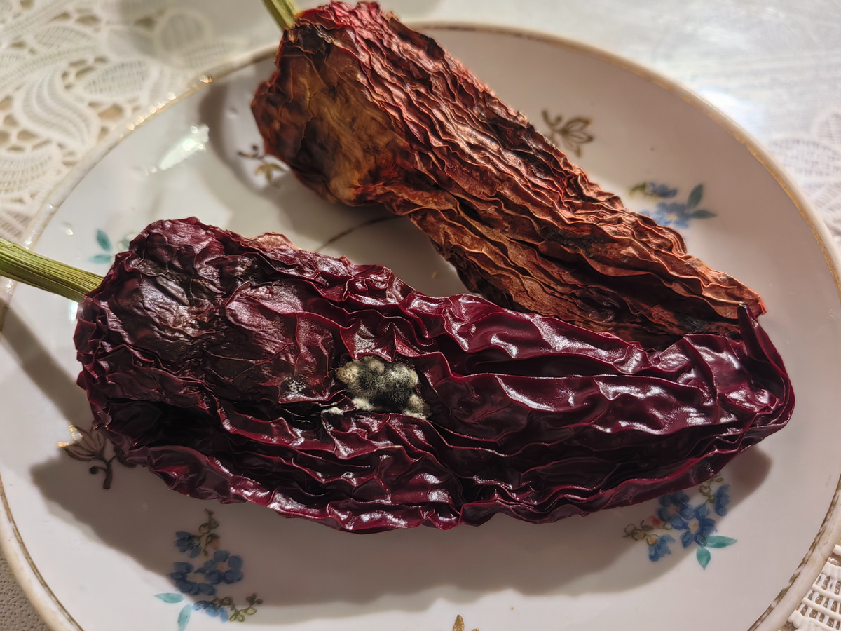 К весне семенные перцы выглядят так.