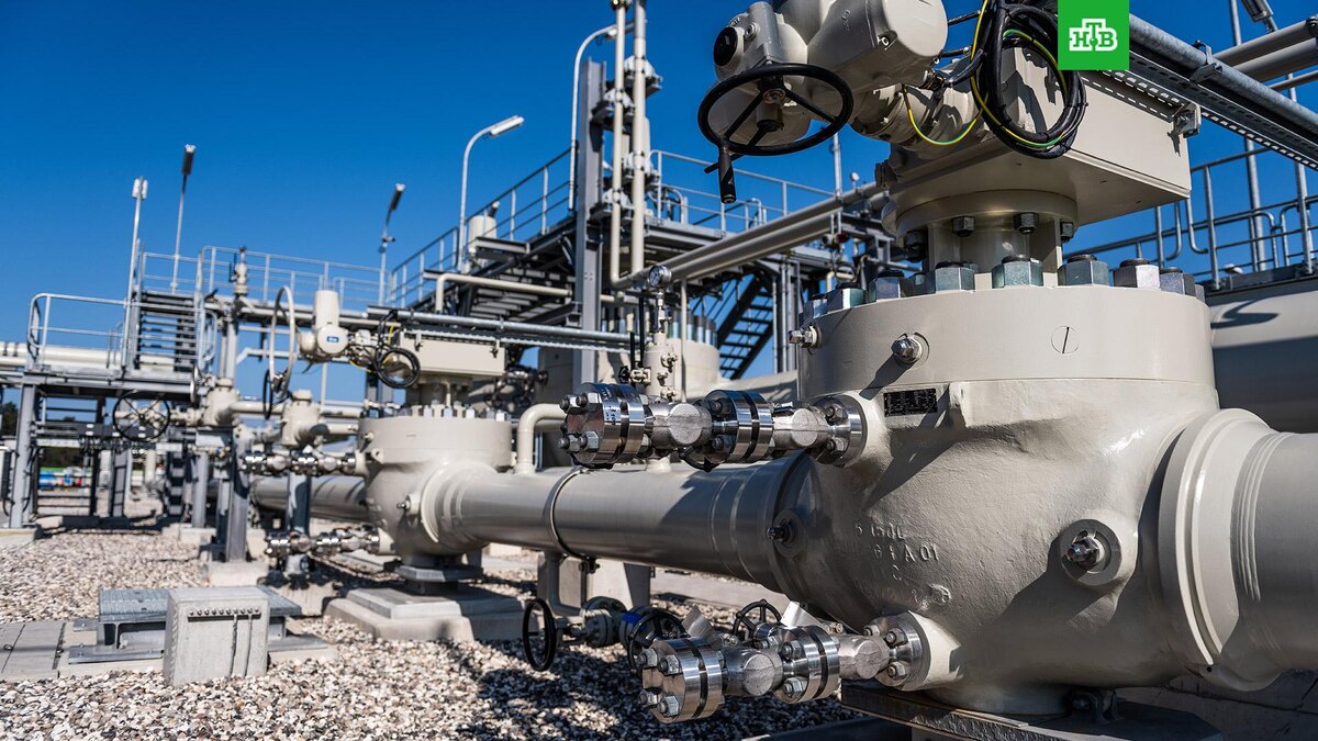    Фото: РИА Новости © 2026, Дмитрий Лельчук