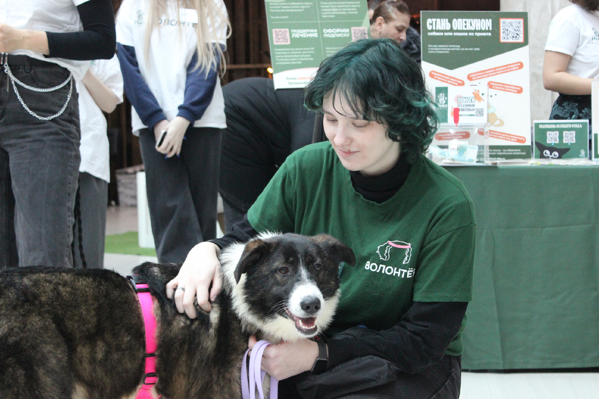 Волонтерами становятся люди различных возрастов и профессий
