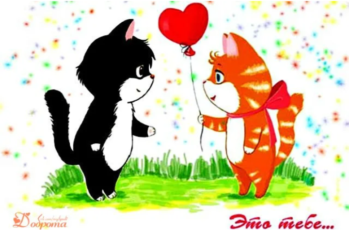 Улыбнуло❤️, картинка из интернета 