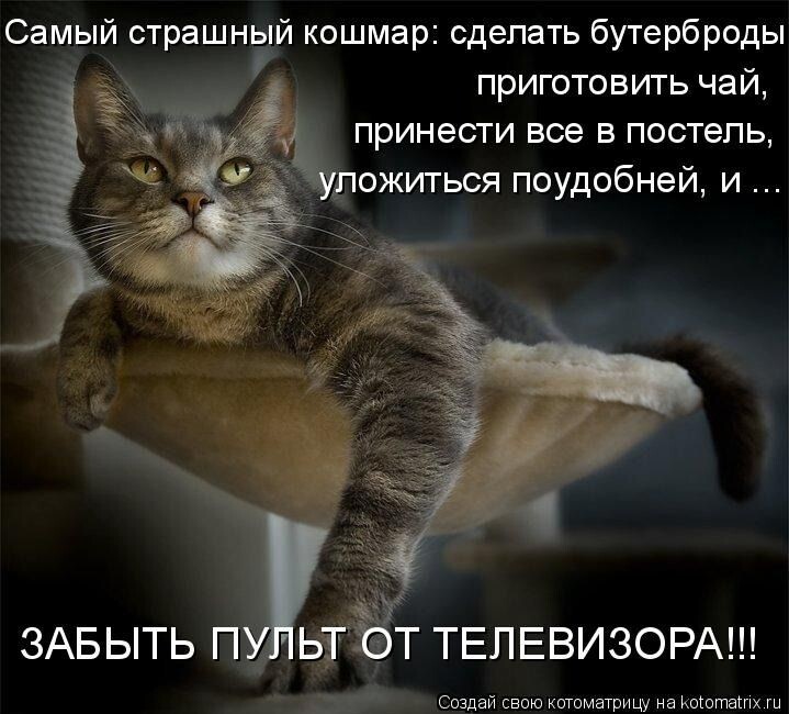У вас так бывает?😸