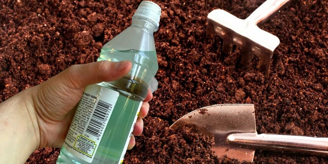 "В марте обеззараживай землю на огороде именно так..." - совет бабушки, который годами спасает мой участок от вредителей