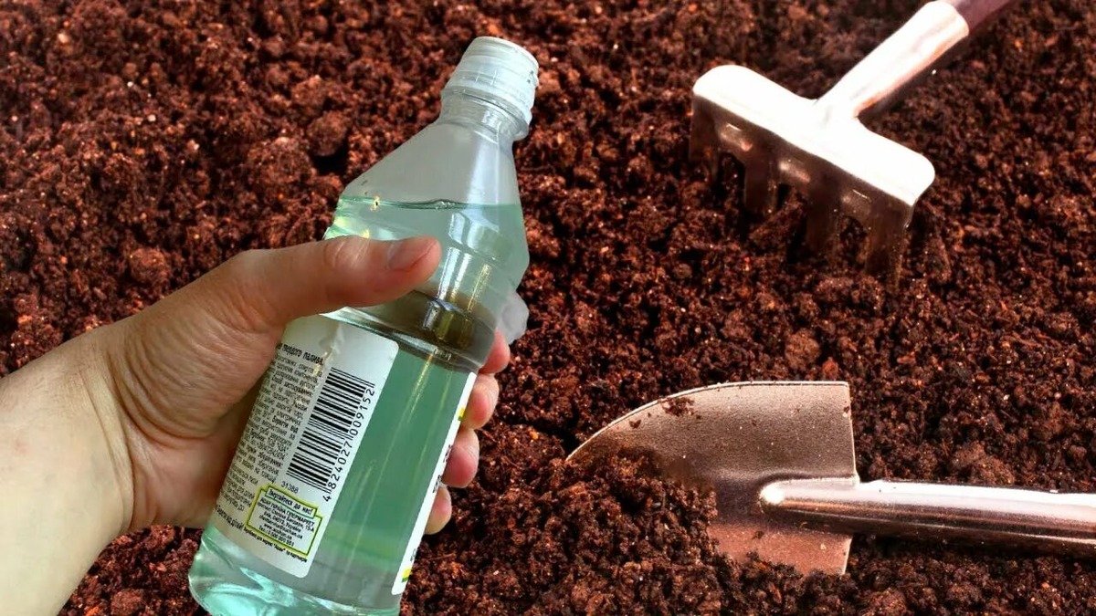 Обработка грунта