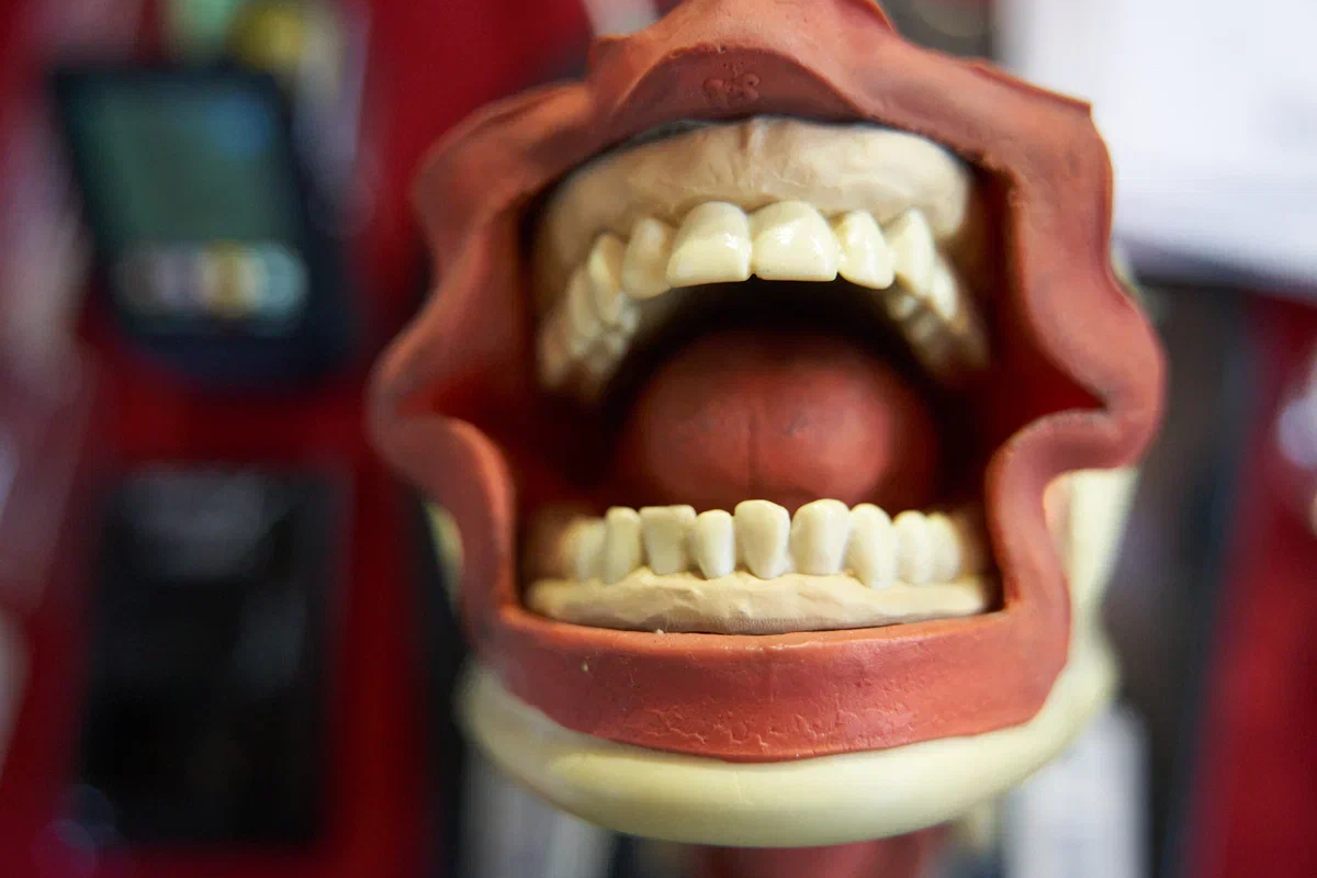    Фото: Лидия Аникина