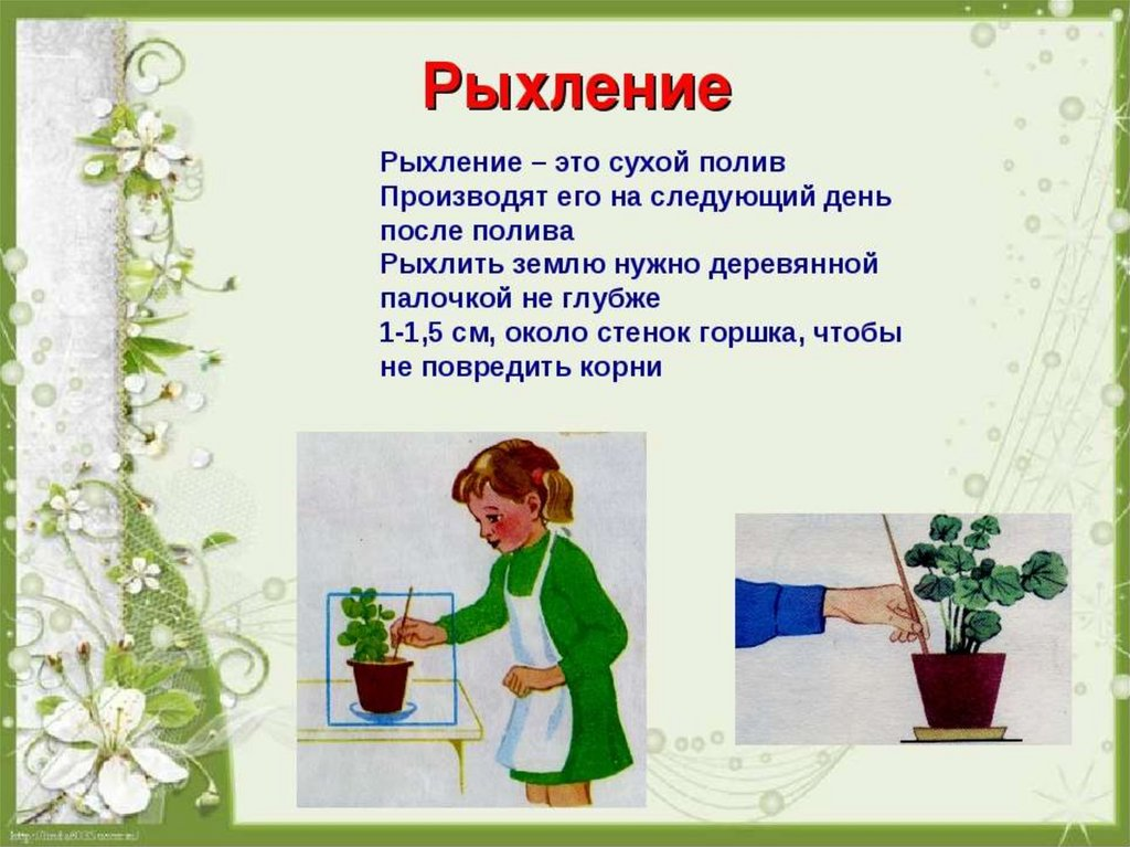 из школьного учебника