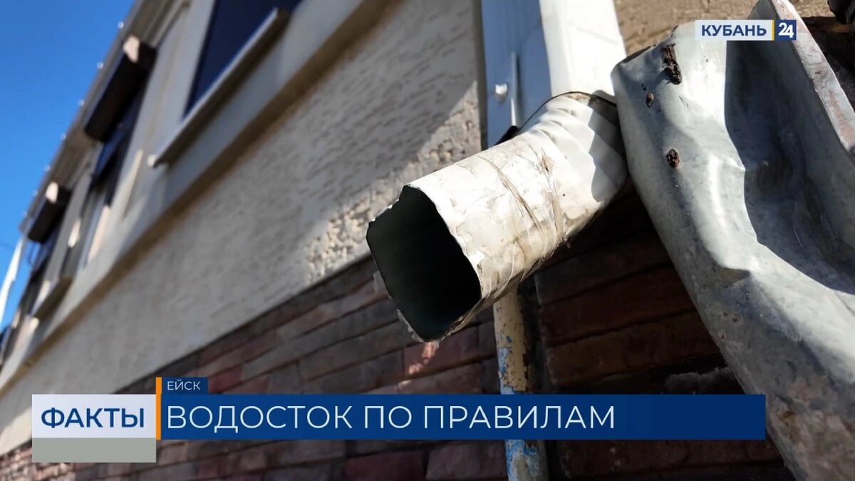    Скриншот видео телеканала «Кубань 24»