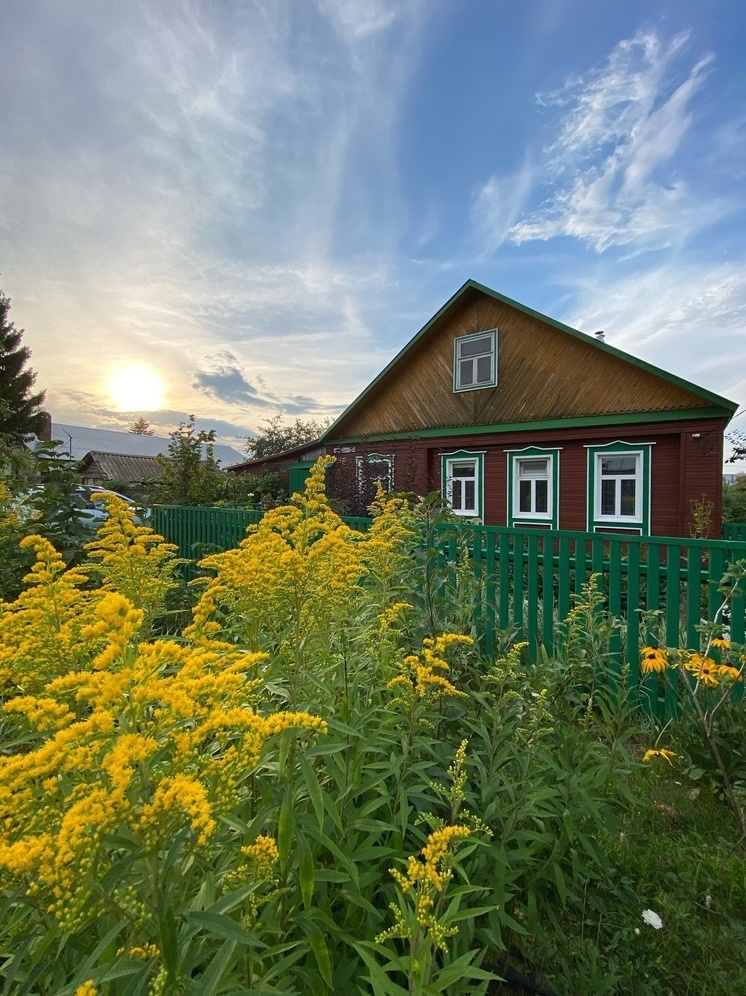   Елена Полякова