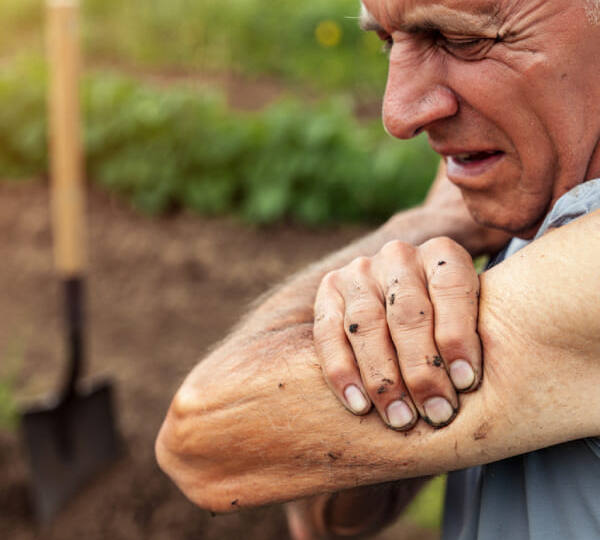 Тендиниты и бурситы у дачников и садоводов