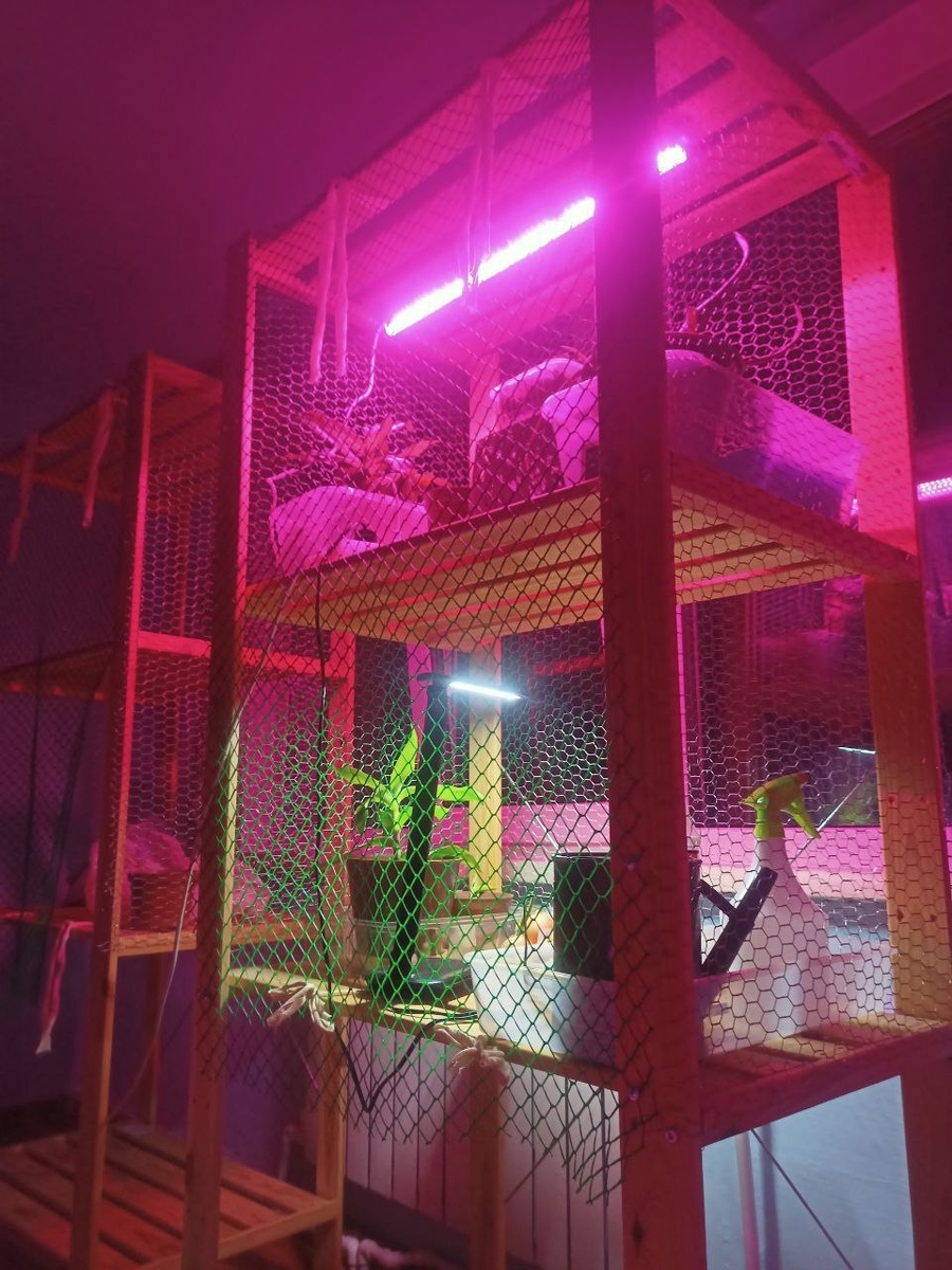 Здесь живут домашние цветы и микрозелень