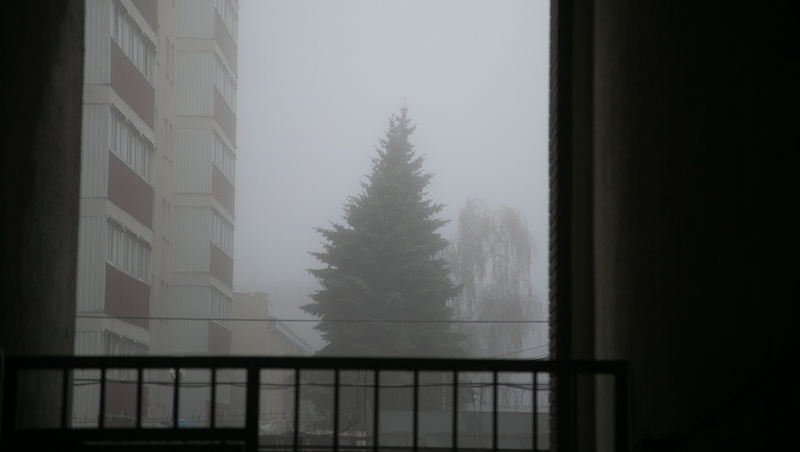      Фото: Валерия Алтухова / / ИА «Победа26»