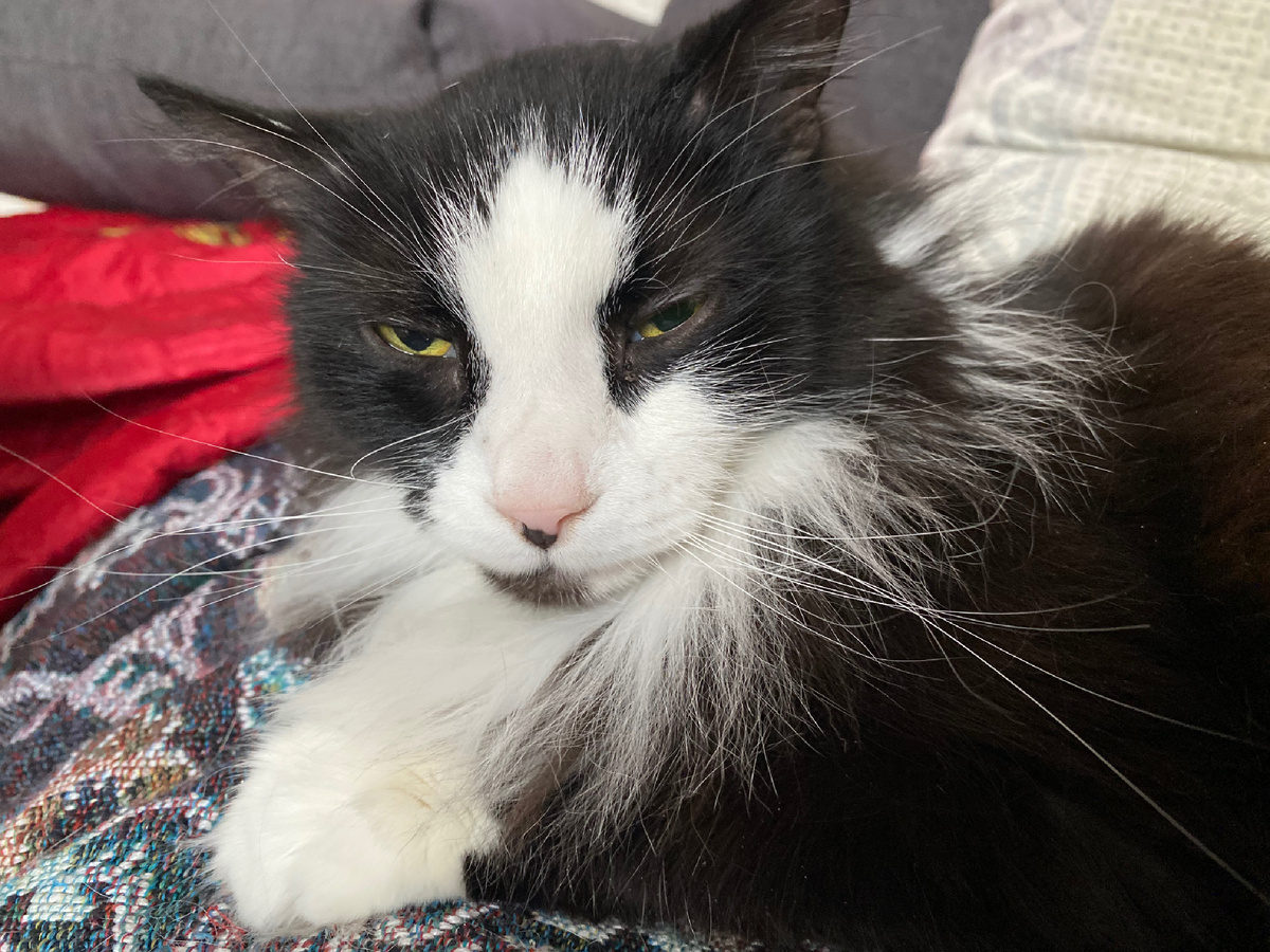 Дон Тихон смотрит презренно. Как истинный москвич 