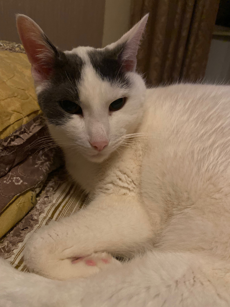 Коренной москвич в отличии от многих.