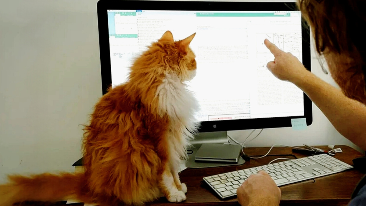 - Ну всё ясно, тут у тебя ошибка, Олег... ЕЩЕ фото --->>