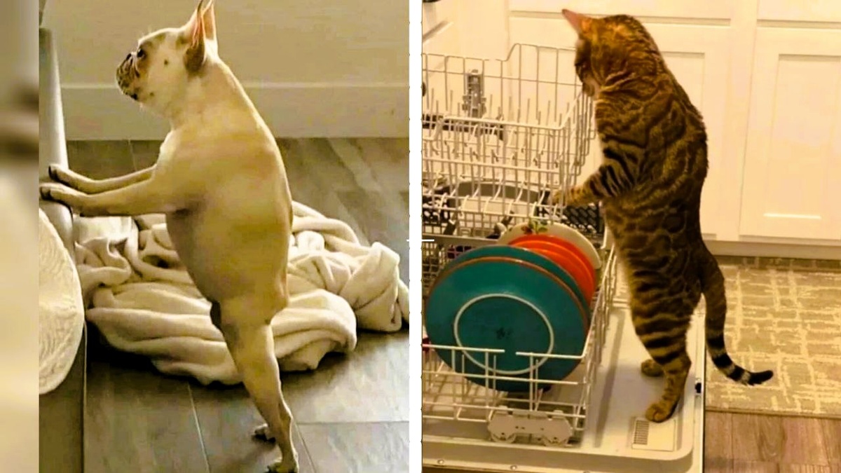 Когда смотрю на эти фото вижу не просто людей, а крупных людей в узких джинсах. А вы?