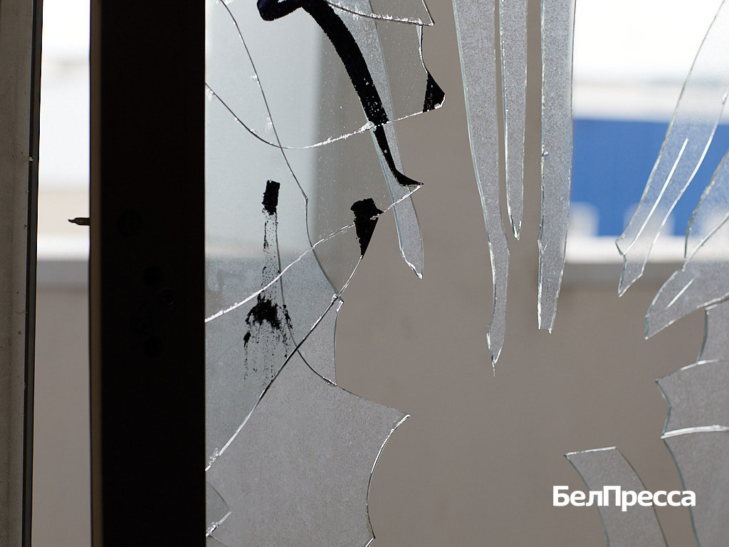     Фото: Елена Журавлёва (архив)