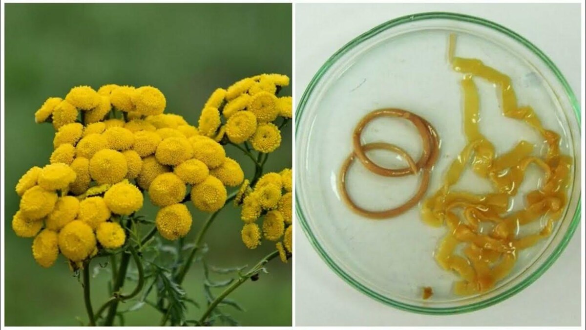 Если ты от них не избавишься, то они избавятся от тебя.