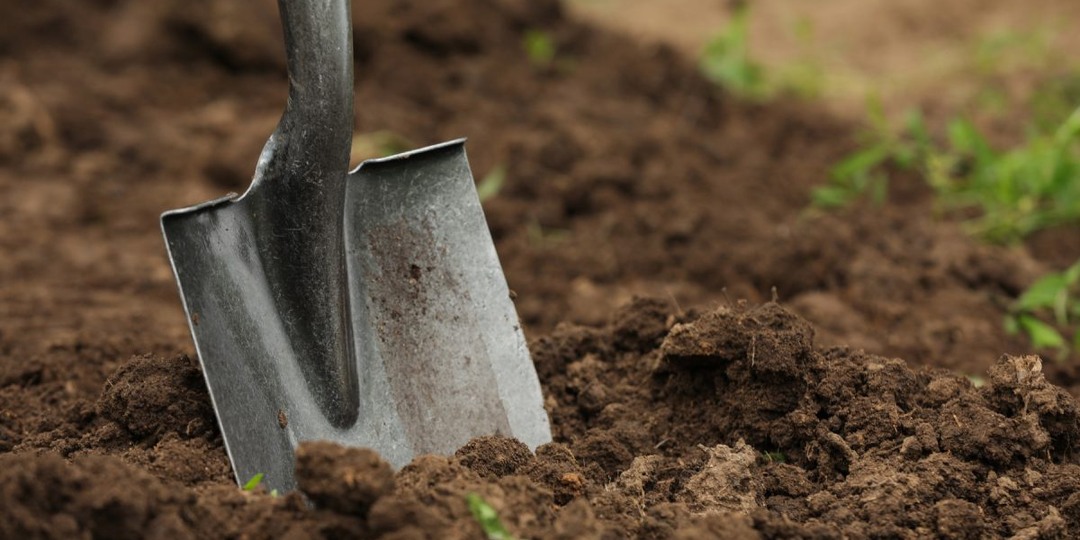 Готовим грядки к сезону: 6 шагов к здоровой почве и высокому урожаю