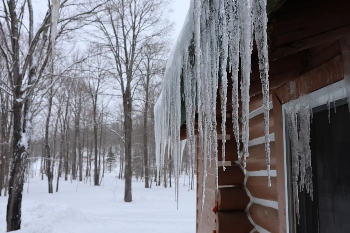 Сосульки весной — признак скорого тепла. Зимой — признак проблем с крышей. Если просто сбивать их, они будут расти снова. 