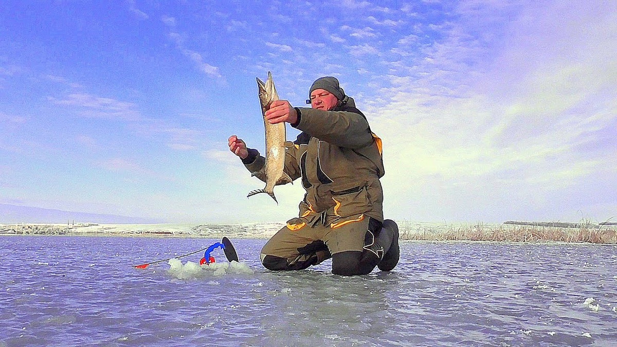 На какого живца лучше ловить Щуку зимой?